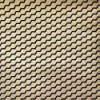Tapeta Buzz003 Modern Flock Erica Wakerly