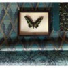 Tapeta CAB301 Cabinet of Curiosities Khroma