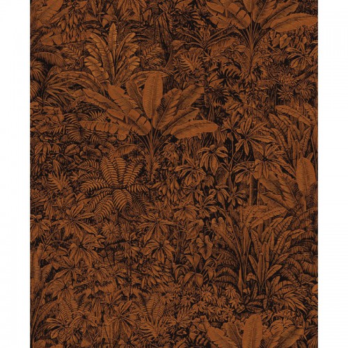 Tapeta CAB304 Cabinet of Curiosities Khroma