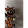 Tapeta CAB901 Cabinet of Curiosities Khroma