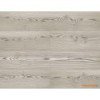 Tapeta JB21700 Woodlands Wallquest