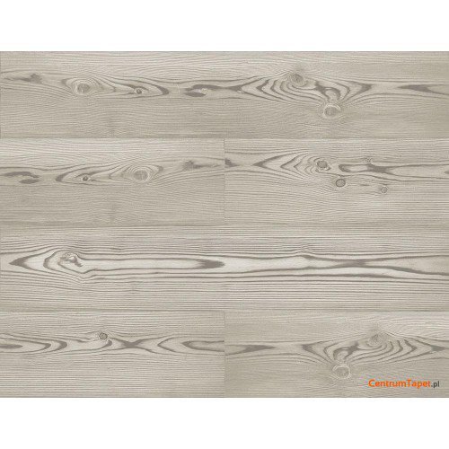 Tapeta JB21700 Woodlands Wallquest