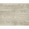 Tapeta JB21706 Woodlands Wallquest