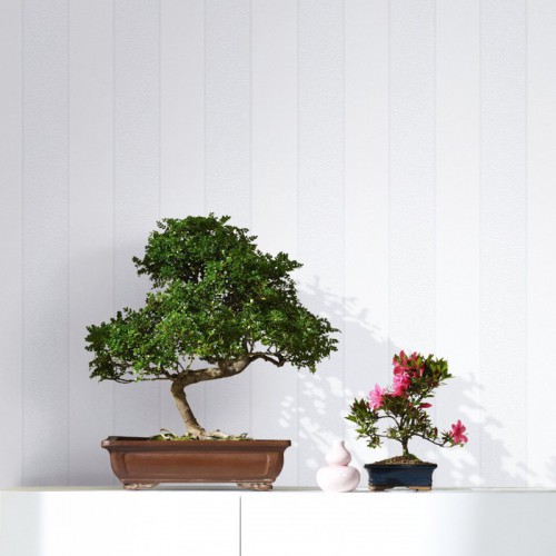 Tapeta 82303 IVY Novamur