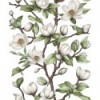 Tapeta 89038 Oriana Novamur