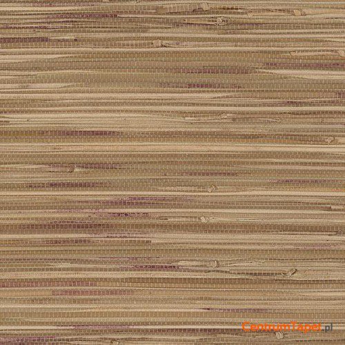 Tapeta 488-405 Grasscloth 2 Galerie