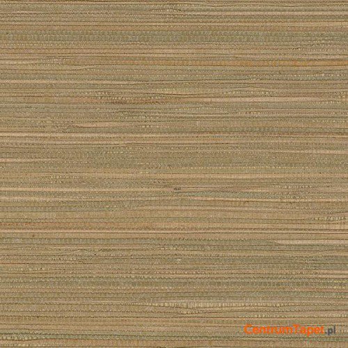 Tapeta 488-408 Grasscloth 2 Galerie