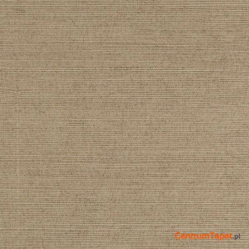 Tapeta 488-409 Grasscloth 2 Galerie