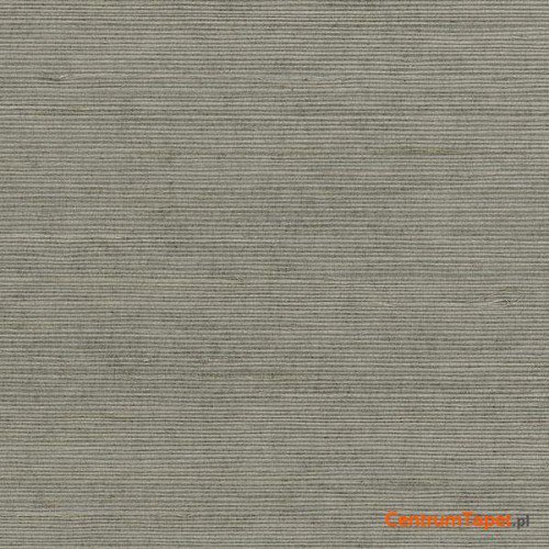 Tapeta 488-410 Grasscloth 2 Galerie