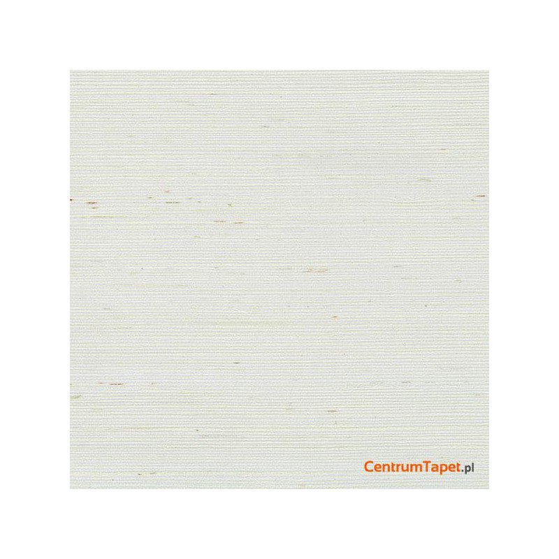 Tapeta 488-411 Grasscloth 2 Galerie