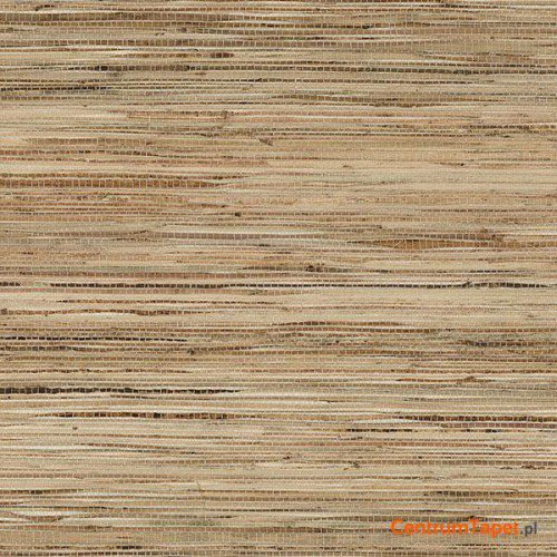 Tapeta 488-413 Grasscloth 2 Galerie