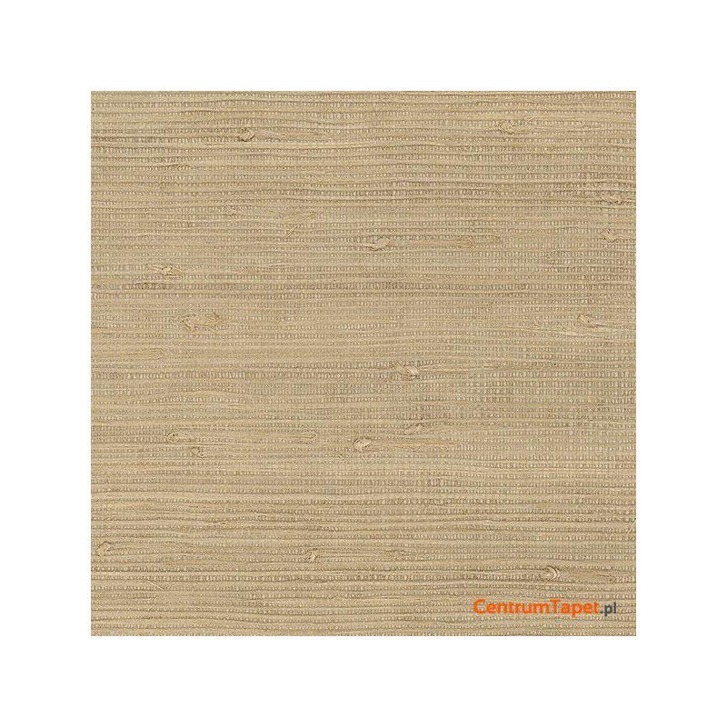 Tapeta 488-418 Grasscloth 2 Galerie