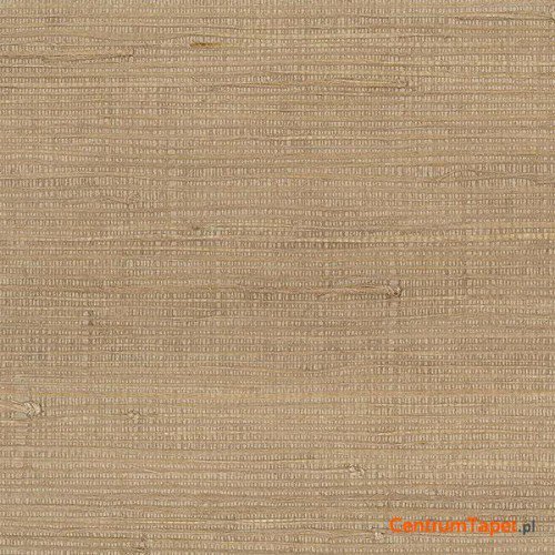 Tapeta 488-419 Grasscloth 2 Galerie