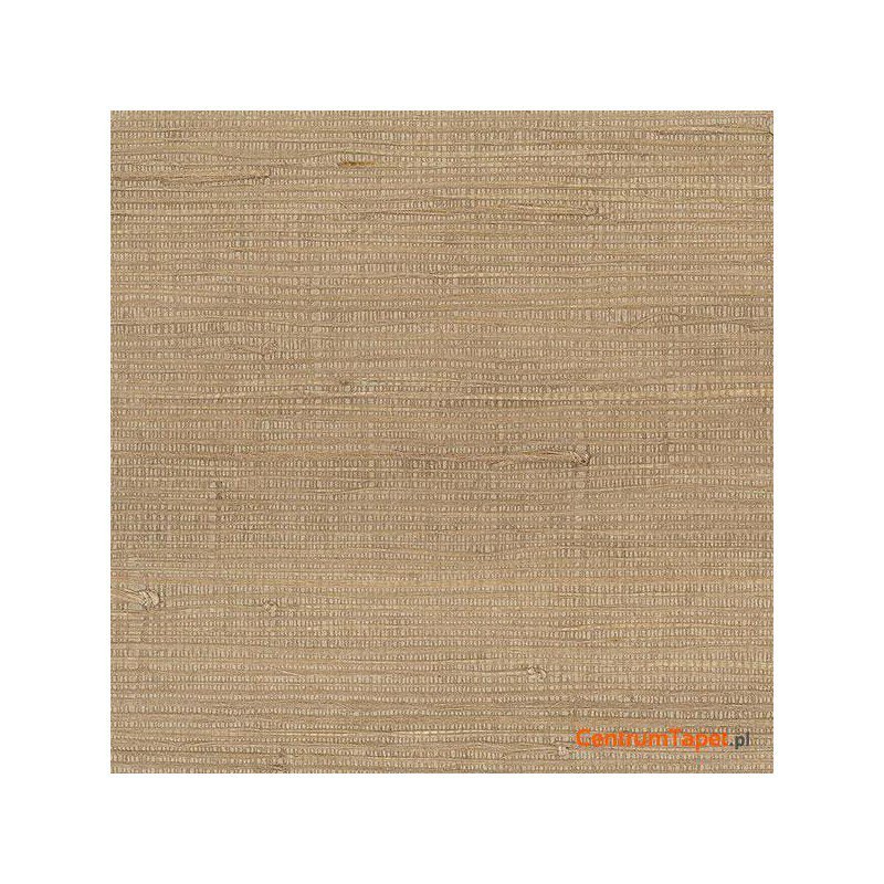 Tapeta 488-419 Grasscloth 2 Galerie