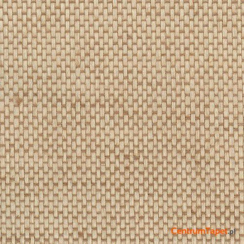 Tapeta 488-422 Grasscloth 2 Galerie