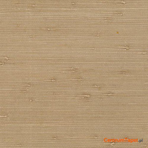 Tapeta 488-429 Grasscloth 2 Galerie