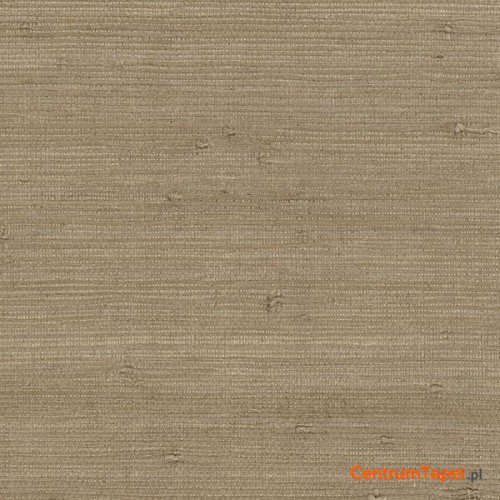 Tapeta 488-431 Grasscloth 2 Galerie