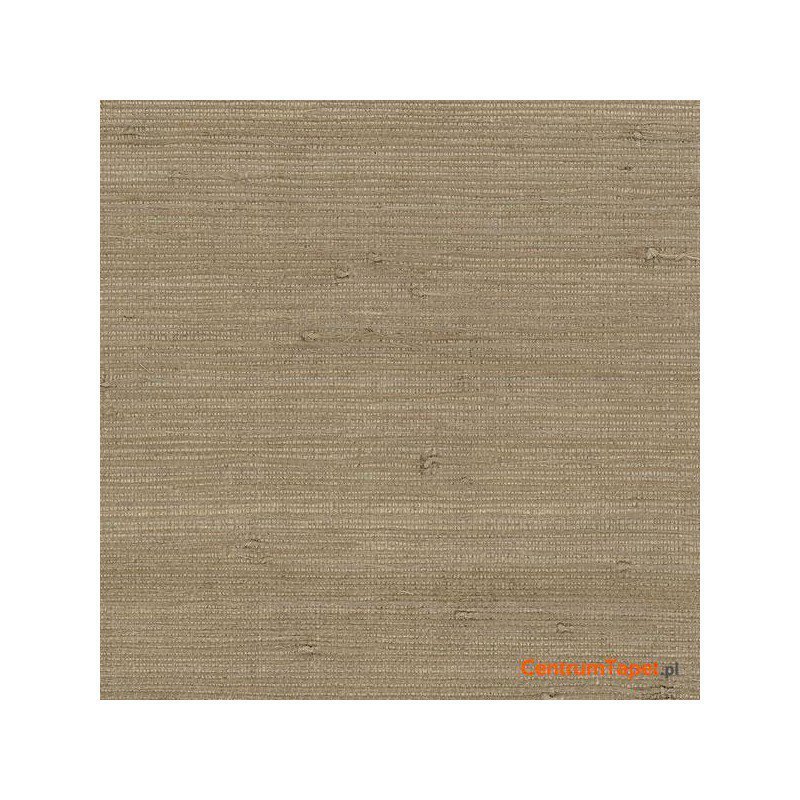 Tapeta 488-431 Grasscloth 2 Galerie