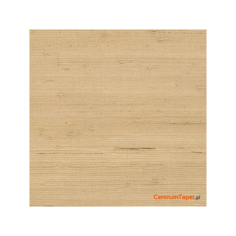 Tapeta 488-433 Grasscloth 2 Galerie