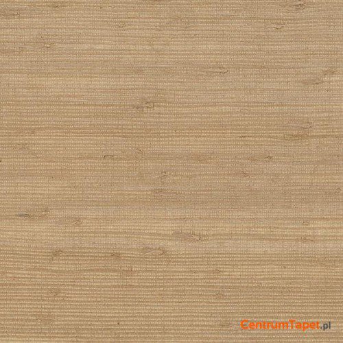 Tapeta 488-434 Grasscloth 2 Galerie