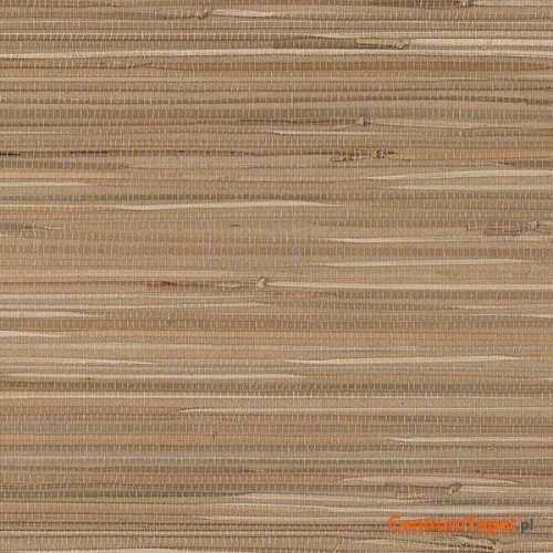 Tapeta 488-435 Grasscloth 2 Galerie