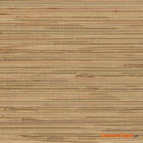 Tapeta 488-441 Grasscloth 2 Galerie