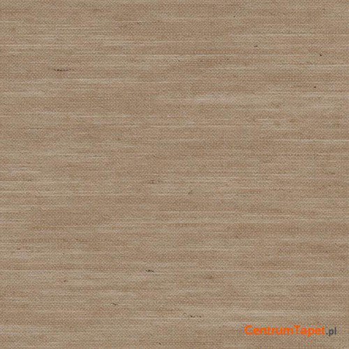 Tapeta 488-442 Grasscloth 2 Galerie