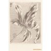 Tapeta 358117 Masterpiece Eijffinger