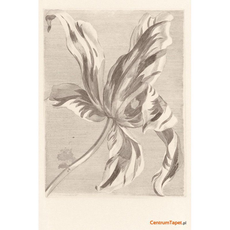 Tapeta 358117 Masterpiece Eijffinger