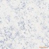 Tapeta FH37526 HOMESTYLE Galerie