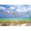 Fototapeta Ocean Breeze  8-515
