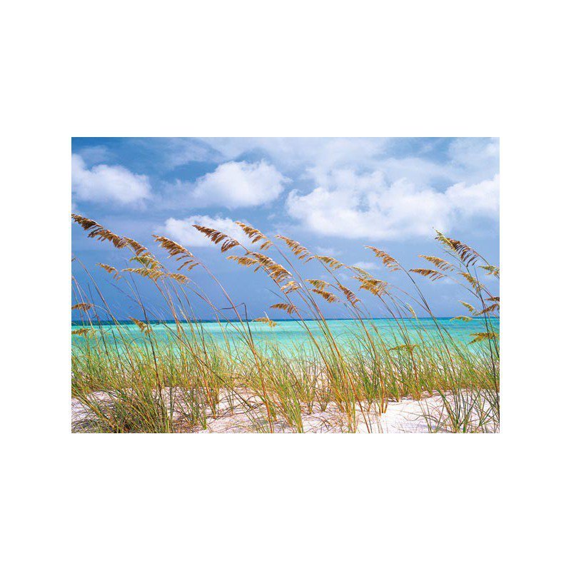 Fototapeta Ocean Breeze  8-515