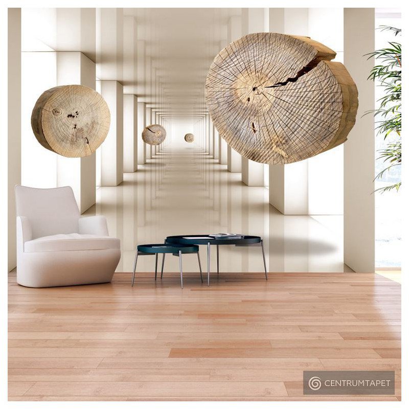 Fototapeta Latające krążki drewna a-A-0191-a-b