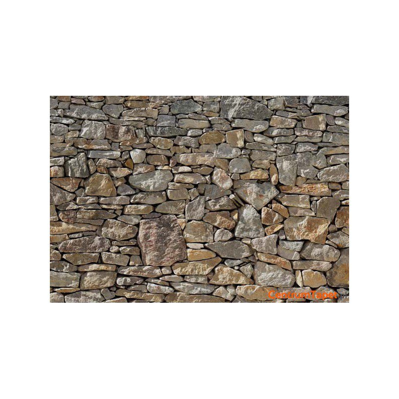 Fototapeta Stone Wall 8-727