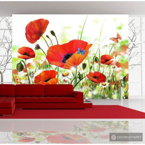 Fototapeta Country poppies 10080906-12