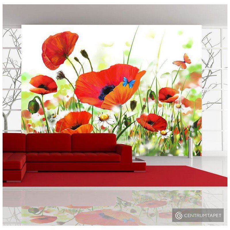 Fototapeta Country poppies 10080906-12