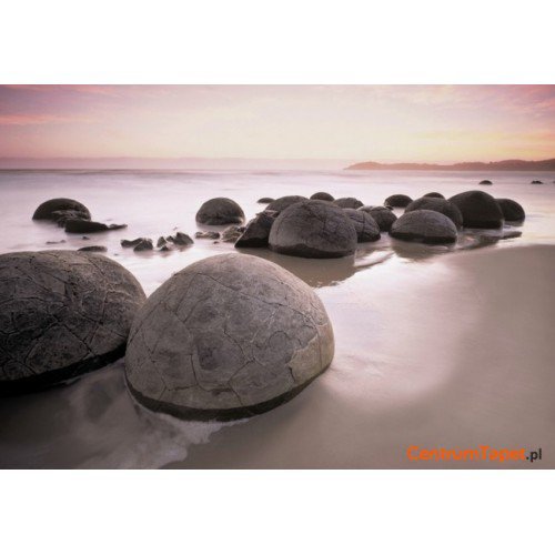 Fototapeta Moeraki Boulders At Oamaru 285