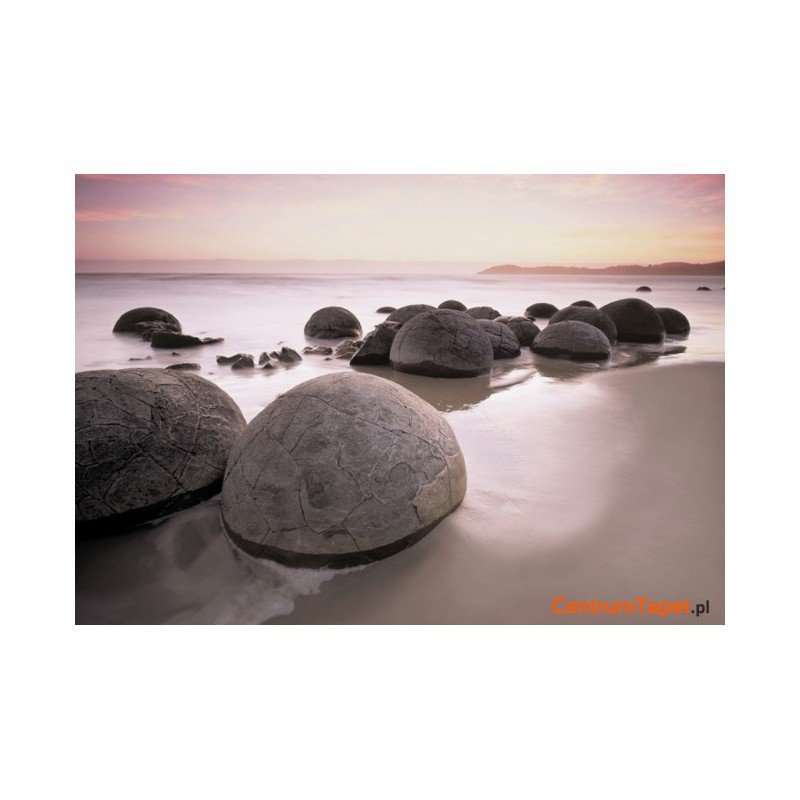 Fototapeta Moeraki Boulders At Oamaru 285