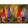 Fototapeta Maui 8-902