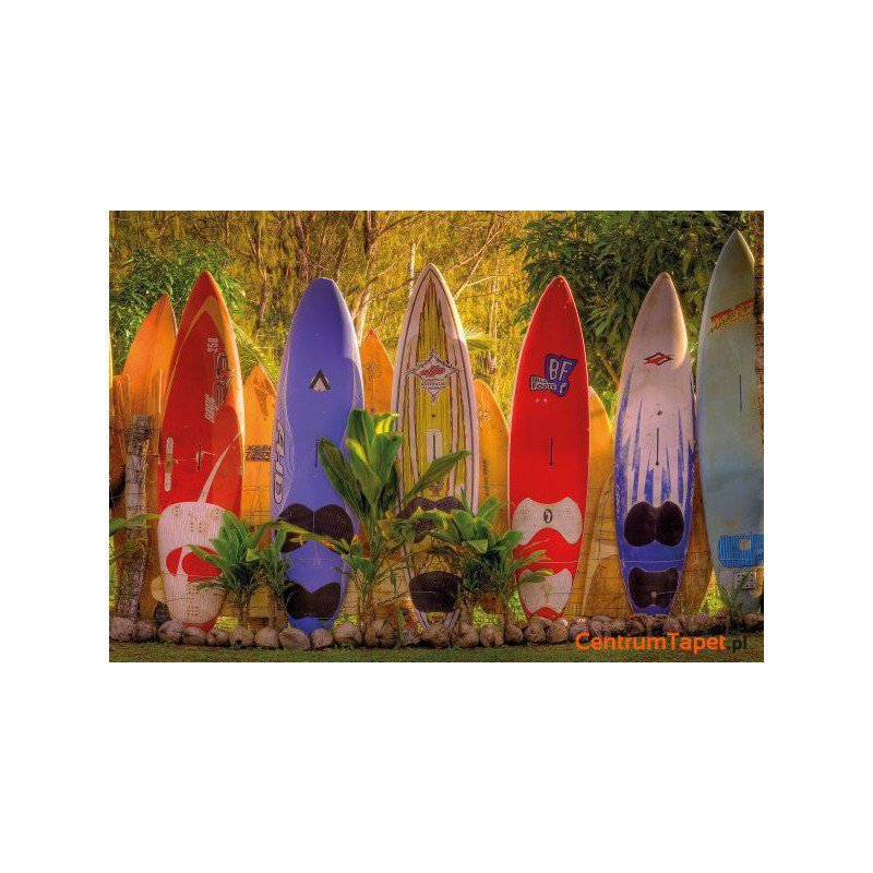 Fototapeta Maui 8-902