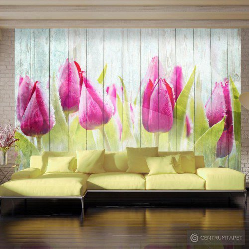 Fototapeta Tulipany na białym drewnie 10110906-128