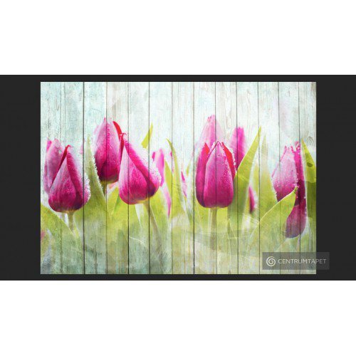 Fototapeta Tulipany na...
