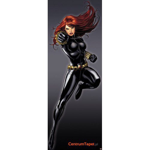 Fototapeta Black Widow 1-430