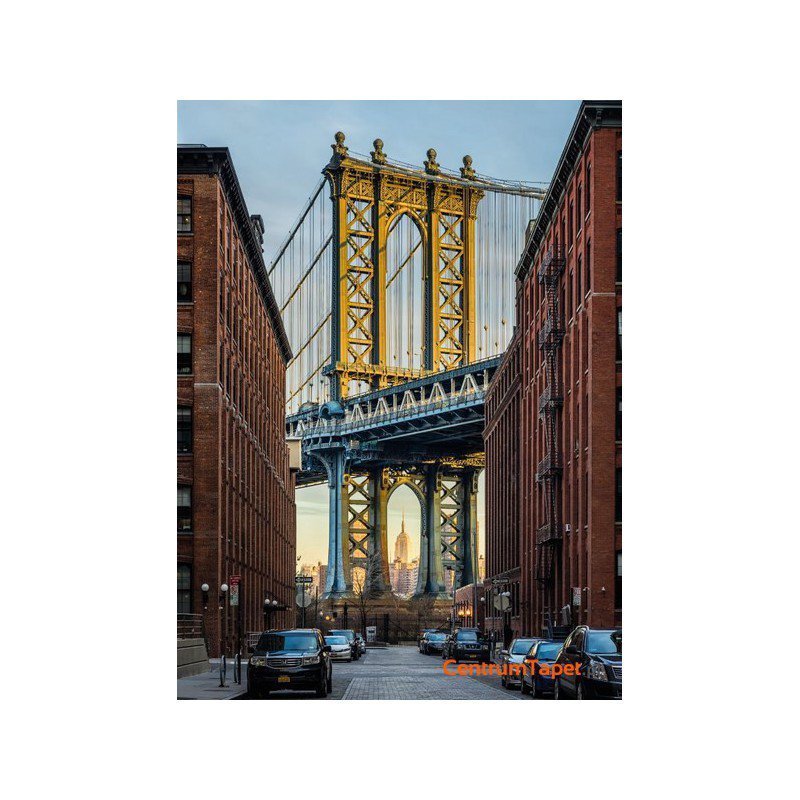 Fototapeta Brooklyn XXL2-013