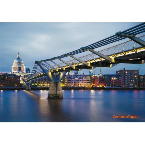 Fototapeta Millennium Bridge 8-924