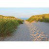 Fototapeta 8-995 Sandy Path