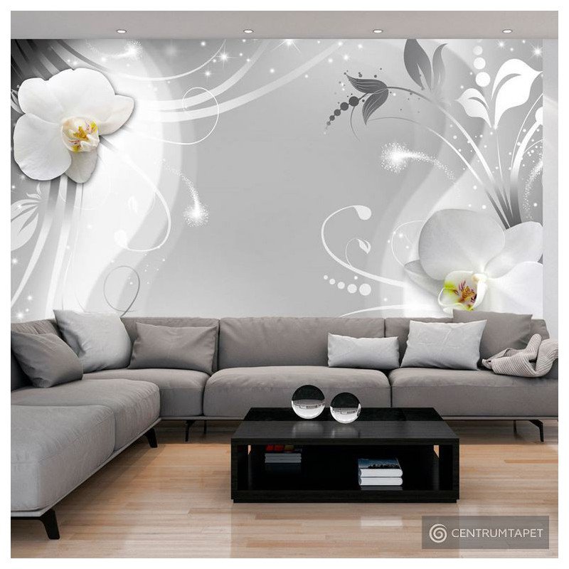 Fototapeta Czarująca orchidea b-A-0149-a-b
