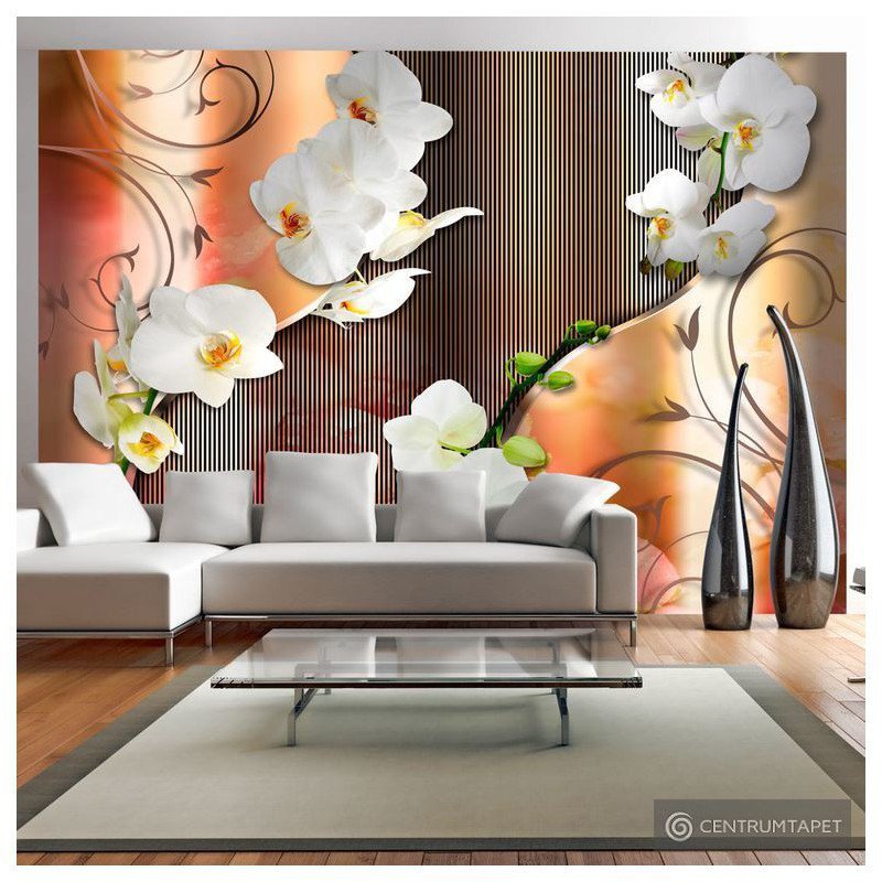 Fototapeta Orchidea b-A-0087-a-b