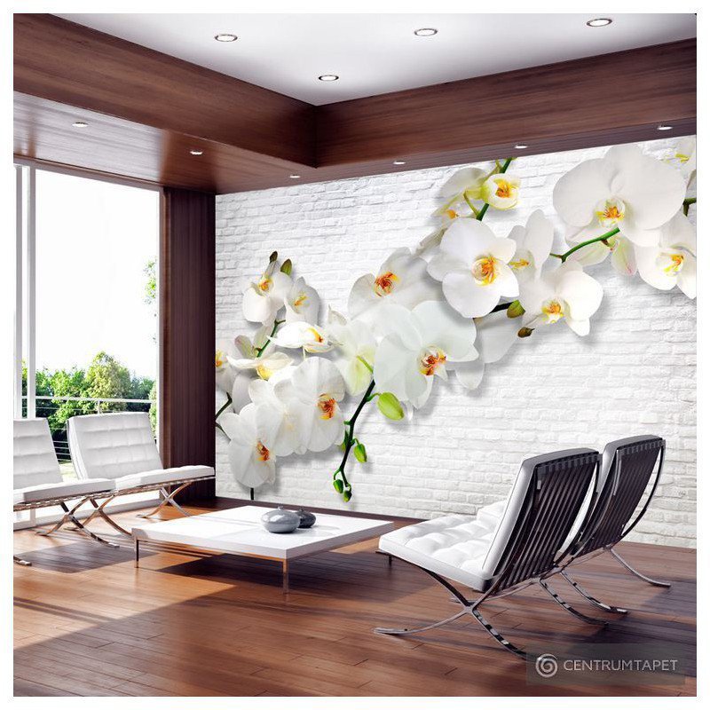 Fototapeta Orchidee na ścianie b-A-0089-a-b