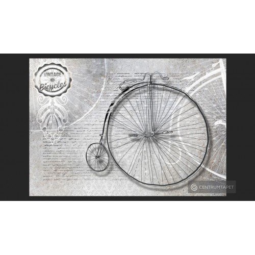 Fototapeta Vintage bicycles...